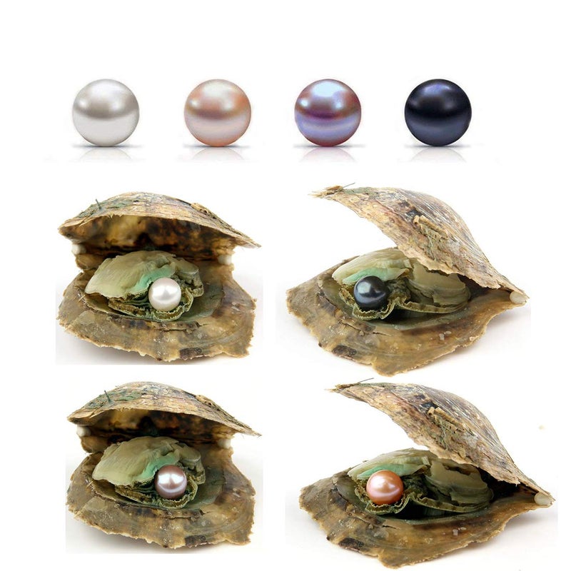 POSHOPS 50PC Oysters with Pearls Inside Wholesale Round Pearl Freshwater Pearl Oyster Oysters Bulk for Christmas Party - Image 1